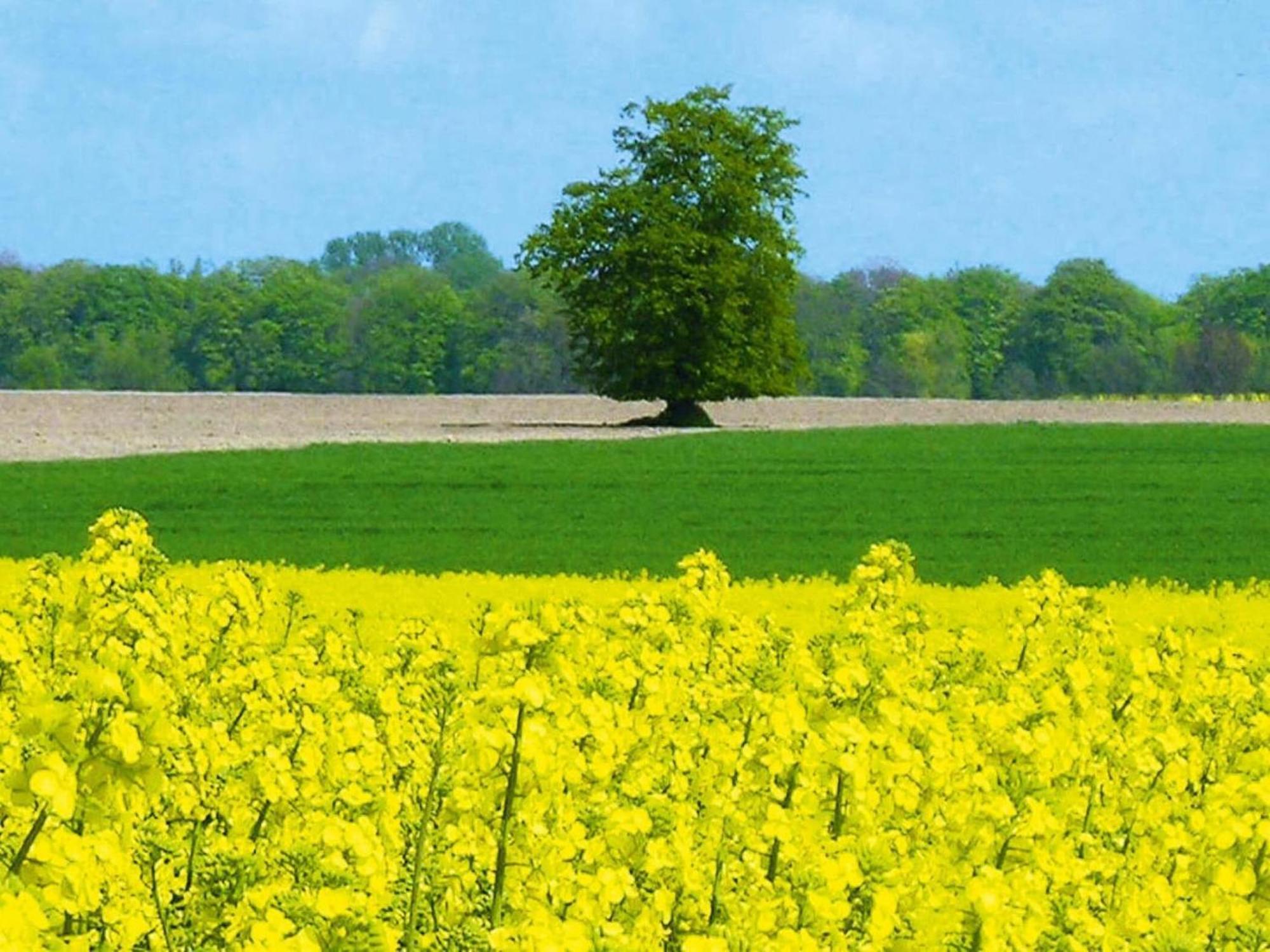 Ferienwohnung In Schwerin Schwerin  Zewnętrze zdjęcie